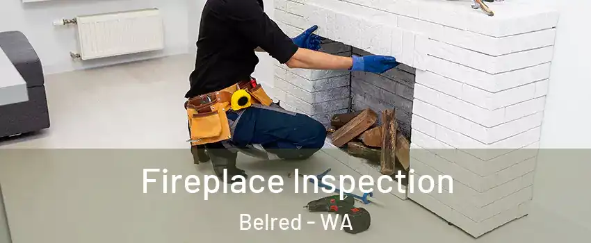 Fireplace Inspection Belred - WA