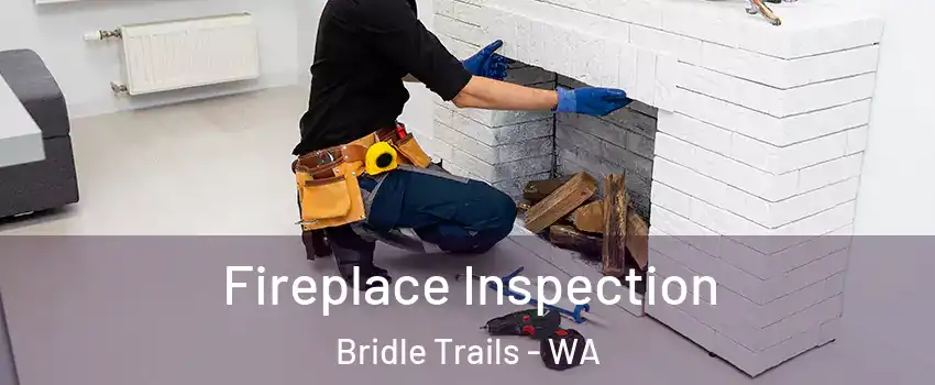 Fireplace Inspection Bridle Trails - WA