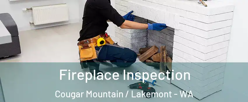 Fireplace Inspection Cougar Mountain / Lakemont - WA