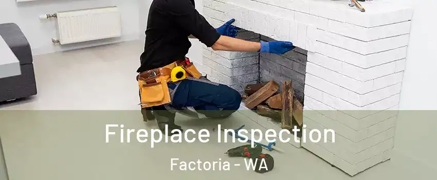 Fireplace Inspection Factoria - WA