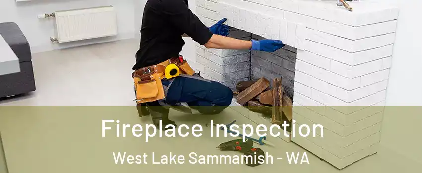 Fireplace Inspection West Lake Sammamish - WA