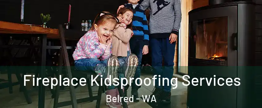 Fireplace Kidsproofing Services Belred - WA