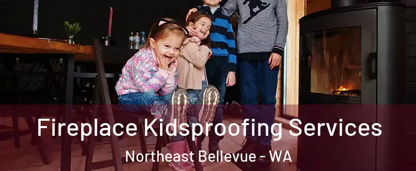 Fireplace Kidsproofing Services Northeast Bellevue - WA