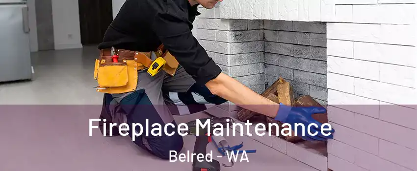 Fireplace Maintenance Belred - WA