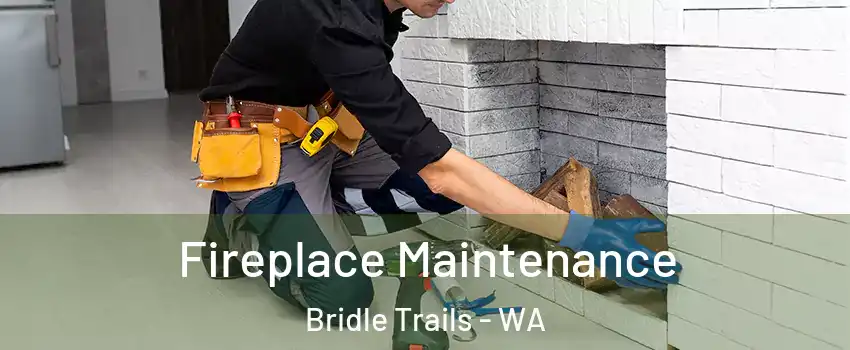 Fireplace Maintenance Bridle Trails - WA