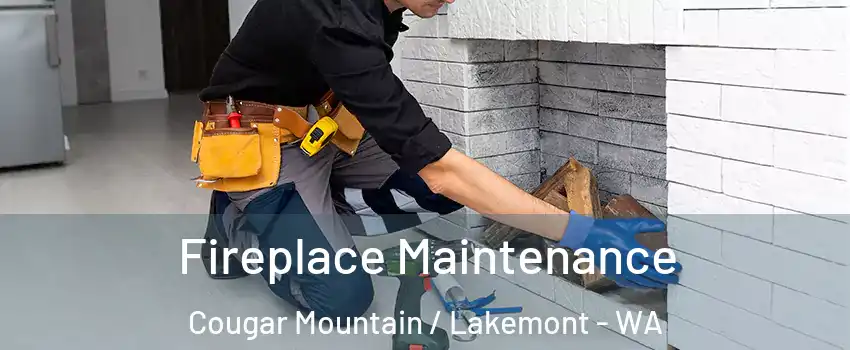 Fireplace Maintenance Cougar Mountain / Lakemont - WA