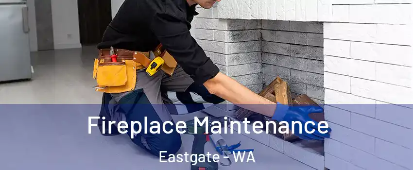 Fireplace Maintenance Eastgate - WA