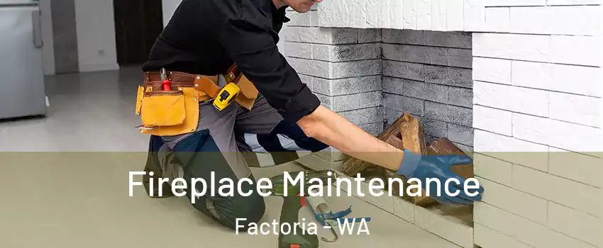 Fireplace Maintenance Factoria - WA