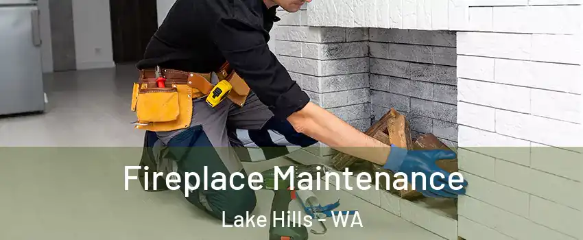 Fireplace Maintenance Lake Hills - WA