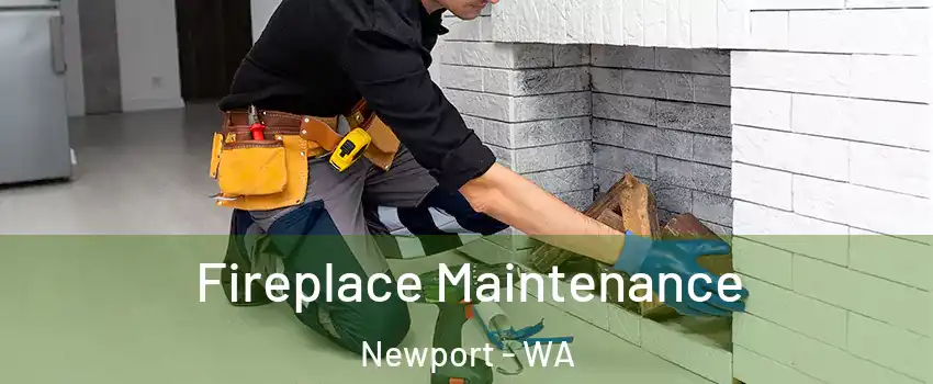 Fireplace Maintenance Newport - WA