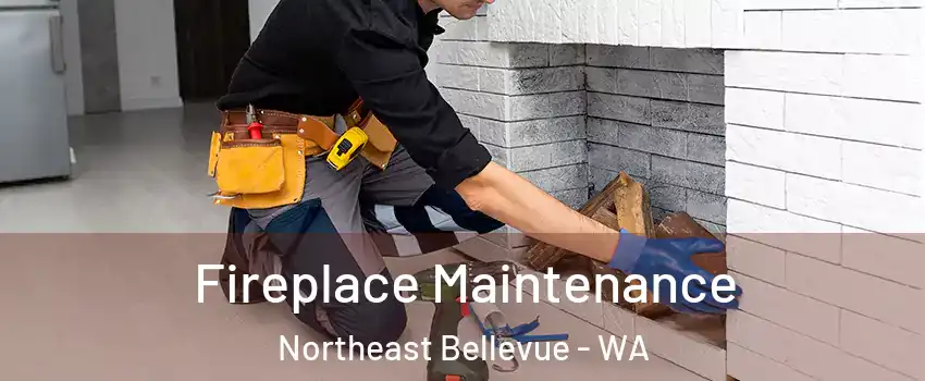 Fireplace Maintenance Northeast Bellevue - WA