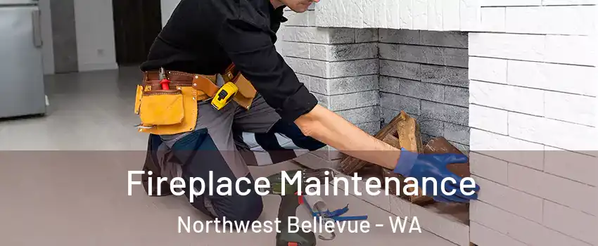 Fireplace Maintenance Northwest Bellevue - WA