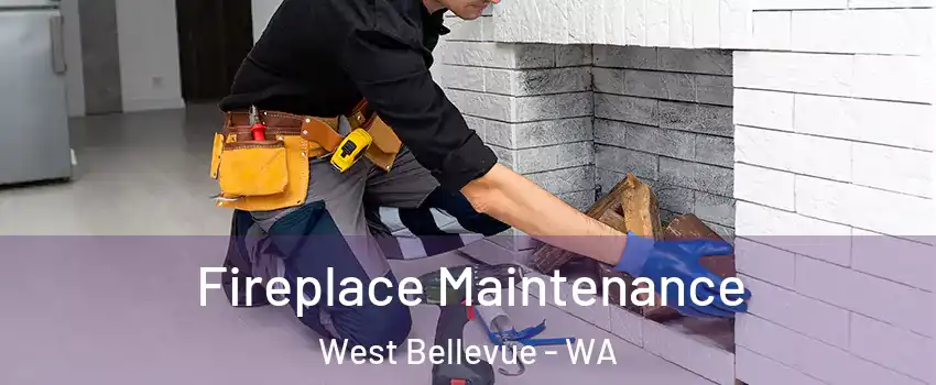 Fireplace Maintenance West Bellevue - WA