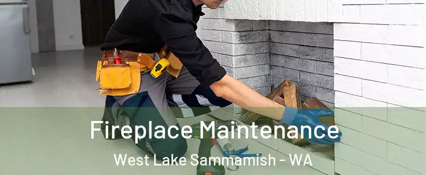 Fireplace Maintenance West Lake Sammamish - WA