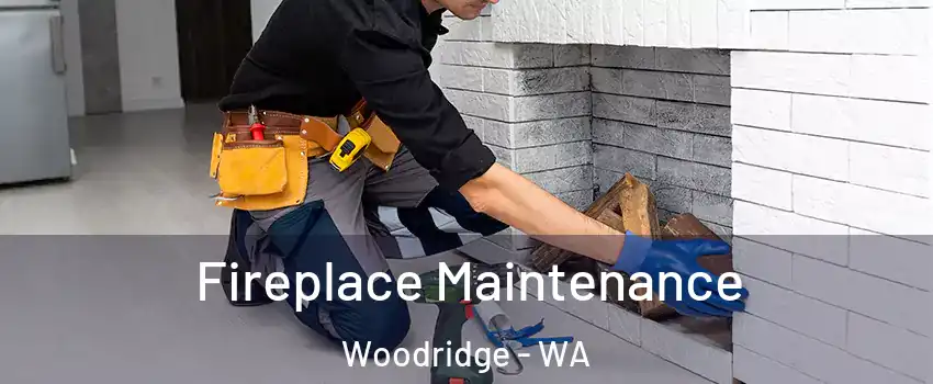 Fireplace Maintenance Woodridge - WA