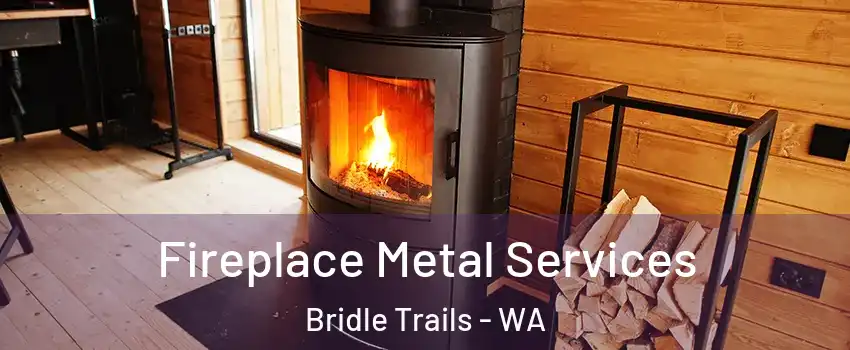 Fireplace Metal Services Bridle Trails - WA