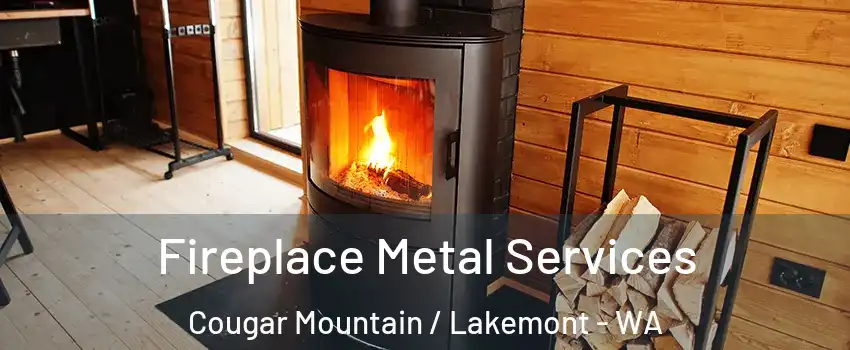 Fireplace Metal Services Cougar Mountain / Lakemont - WA