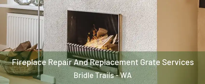 Fireplace Repair And Replacement Grate Services Bridle Trails - WA