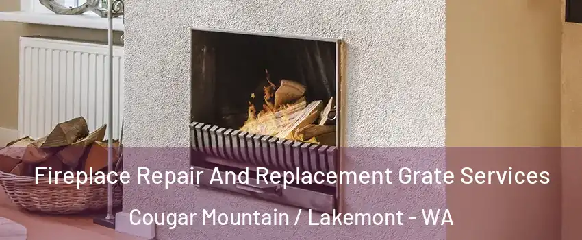 Fireplace Repair And Replacement Grate Services Cougar Mountain / Lakemont - WA