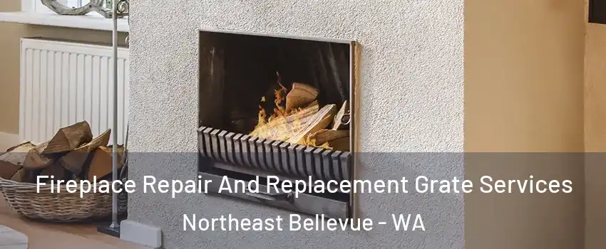 Fireplace Repair And Replacement Grate Services Northeast Bellevue - WA