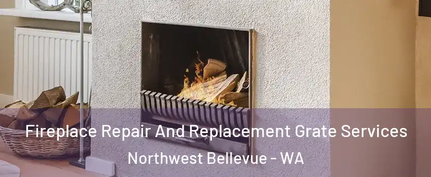 Fireplace Repair And Replacement Grate Services Northwest Bellevue - WA