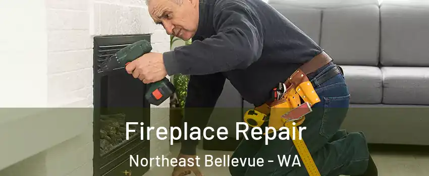 Fireplace Repair Northeast Bellevue - WA