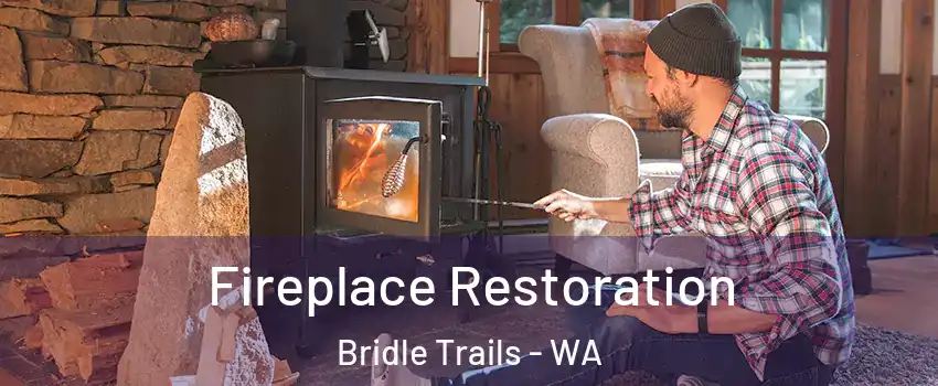 Fireplace Restoration Bridle Trails - WA