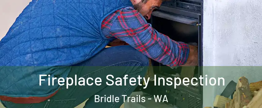 Fireplace Safety Inspection Bridle Trails - WA