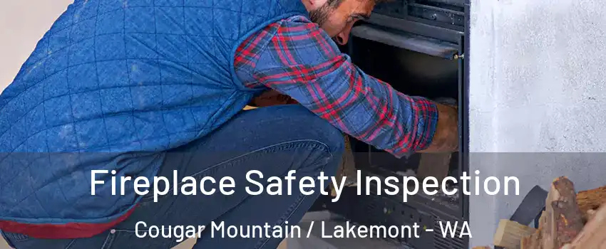 Fireplace Safety Inspection Cougar Mountain / Lakemont - WA