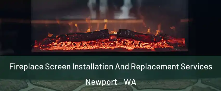 Fireplace Screen Installation And Replacement Services Newport - WA