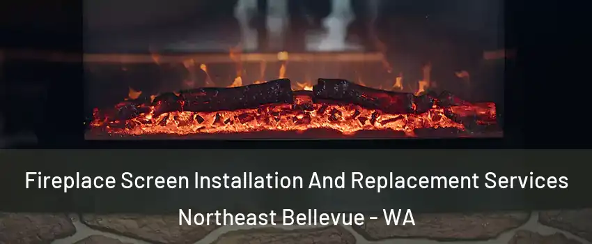 Fireplace Screen Installation And Replacement Services Northeast Bellevue - WA