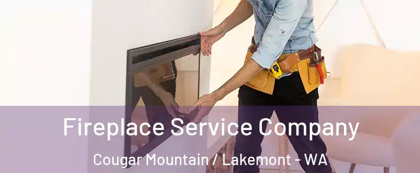 Fireplace Service Company Cougar Mountain / Lakemont - WA