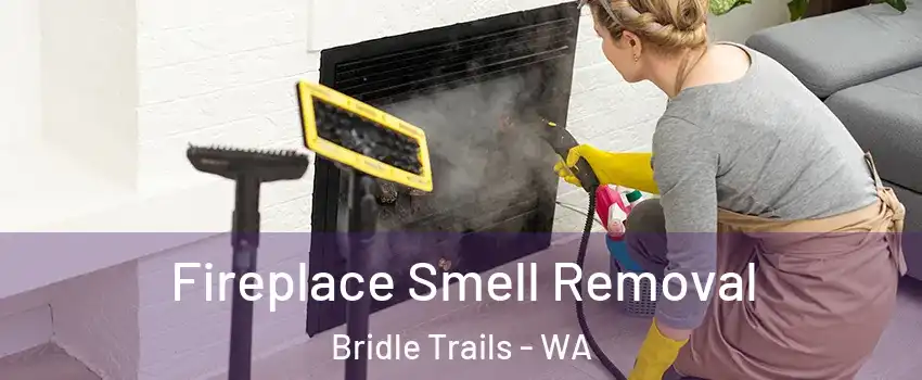 Fireplace Smell Removal Bridle Trails - WA