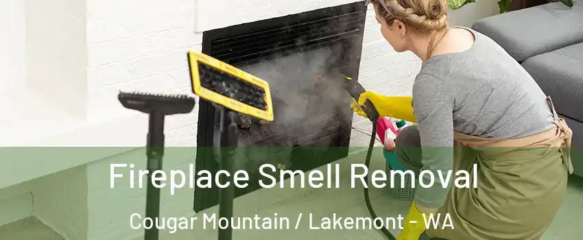 Fireplace Smell Removal Cougar Mountain / Lakemont - WA