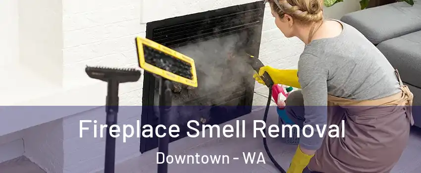 Fireplace Smell Removal Downtown - WA