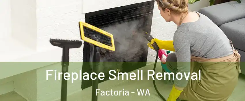 Fireplace Smell Removal Factoria - WA