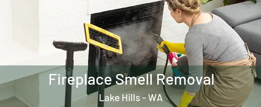 Fireplace Smell Removal Lake Hills - WA