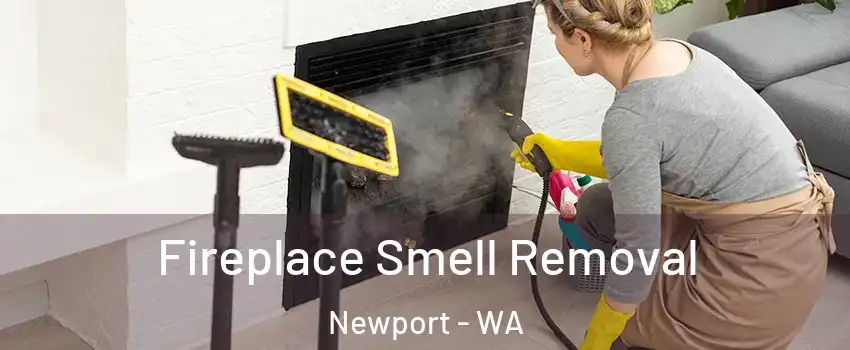 Fireplace Smell Removal Newport - WA