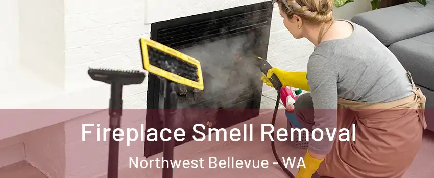 Fireplace Smell Removal Northwest Bellevue - WA