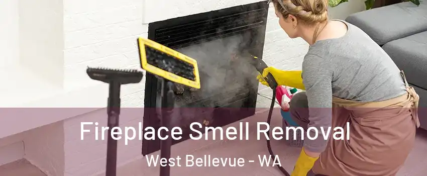 Fireplace Smell Removal West Bellevue - WA