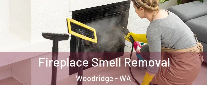 Fireplace Smell Removal Woodridge - WA