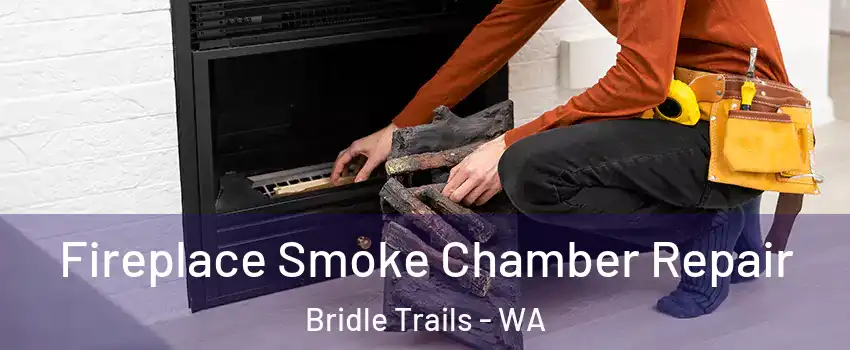 Fireplace Smoke Chamber Repair Bridle Trails - WA