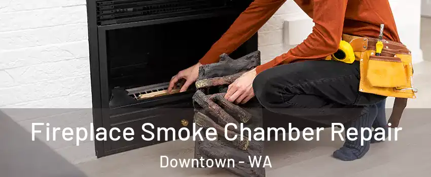 Fireplace Smoke Chamber Repair Downtown - WA