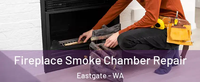 Fireplace Smoke Chamber Repair Eastgate - WA