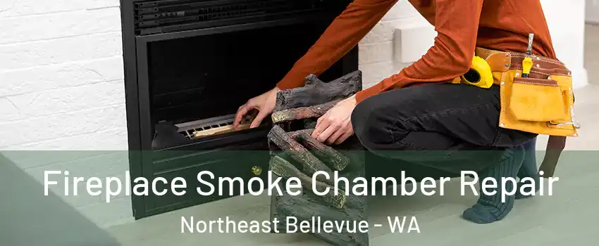 Fireplace Smoke Chamber Repair Northeast Bellevue - WA