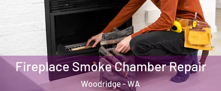 Fireplace Smoke Chamber Repair Woodridge - WA