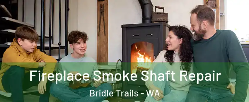 Fireplace Smoke Shaft Repair Bridle Trails - WA