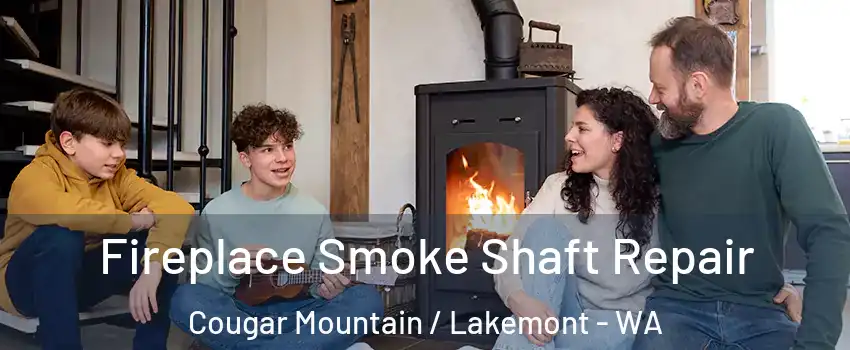 Fireplace Smoke Shaft Repair Cougar Mountain / Lakemont - WA