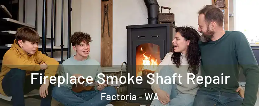 Fireplace Smoke Shaft Repair Factoria - WA