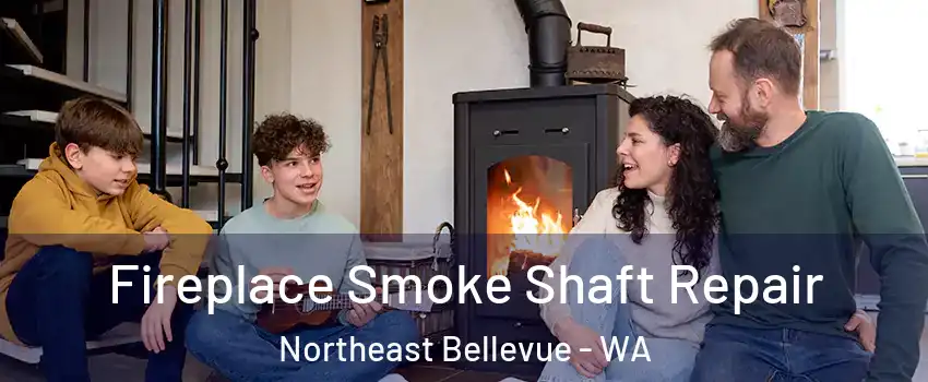 Fireplace Smoke Shaft Repair Northeast Bellevue - WA